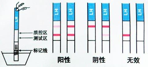 早早孕检测一深一浅是为何?(图4)